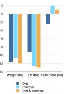 Effects of diet, exercise, and diet + exercise on muscle growth and weight/fat loss