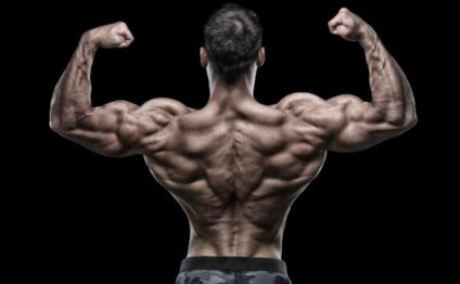 Bodybuilder back pose