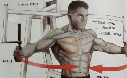 Chest Workout for definition