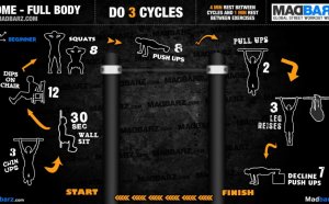 Full body workout program