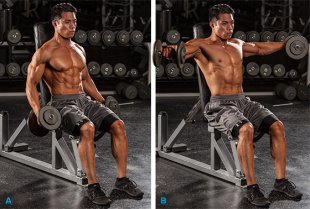 Seated Dumbbell Lateral Raise