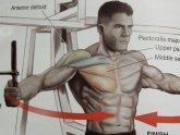 Chest Workout for definition