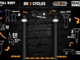 Full body workout program